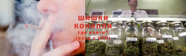гашик Касимов