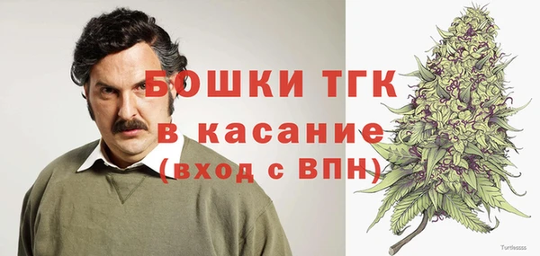 гашик Касимов