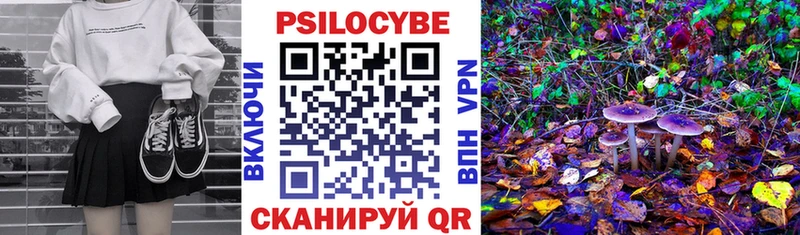 Купить  Еманжелинск  Псилоцибиновые грибы Psilocybe 